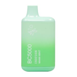 ELF BAR BC5000 Disposable Miami Mint 5000 potahů